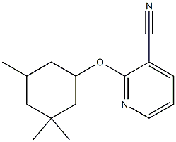 2-[(3,3,5-trimethylcyclohexyl)oxy]pyridine-3-carbonitrile Struktur