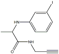 2-[(3-iodophenyl)amino]-N-(prop-2-yn-1-yl)propanamide Struktur