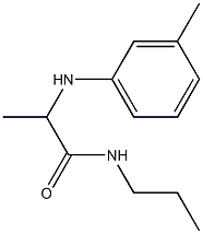 2-[(3-methylphenyl)amino]-N-propylpropanamide Struktur