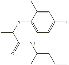 2-[(4-fluoro-2-methylphenyl)amino]-N-(pentan-2-yl)propanamide Struktur