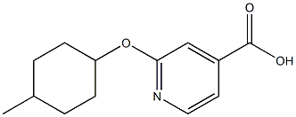 2-[(4-methylcyclohexyl)oxy]pyridine-4-carboxylic acid Struktur