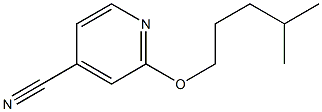 2-[(4-methylpentyl)oxy]pyridine-4-carbonitrile Struktur