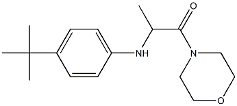 2-[(4-tert-butylphenyl)amino]-1-(morpholin-4-yl)propan-1-one Struktur