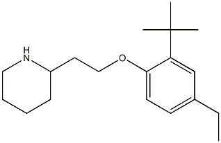 2-[2-(2-tert-butyl-4-ethylphenoxy)ethyl]piperidine Struktur