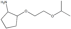 2-[2-(propan-2-yloxy)ethoxy]cyclopentan-1-amine Struktur