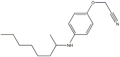 2-[4-(octan-2-ylamino)phenoxy]acetonitrile Struktur