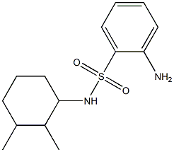 2-amino-N-(2,3-dimethylcyclohexyl)benzenesulfonamide Struktur