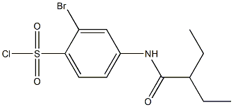 2-bromo-4-(2-ethylbutanamido)benzene-1-sulfonyl chloride Struktur