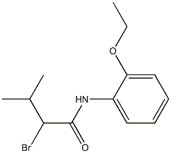 2-bromo-N-(2-ethoxyphenyl)-3-methylbutanamide Struktur