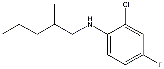 2-chloro-4-fluoro-N-(2-methylpentyl)aniline Struktur