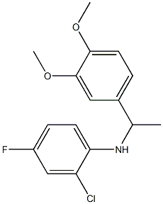 2-chloro-N-[1-(3,4-dimethoxyphenyl)ethyl]-4-fluoroaniline Struktur