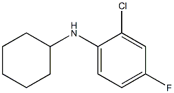 2-chloro-N-cyclohexyl-4-fluoroaniline Struktur