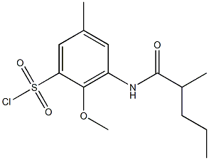 2-methoxy-5-methyl-3-(2-methylpentanamido)benzene-1-sulfonyl chloride Struktur