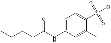 2-methyl-4-pentanamidobenzene-1-sulfonyl chloride Struktur