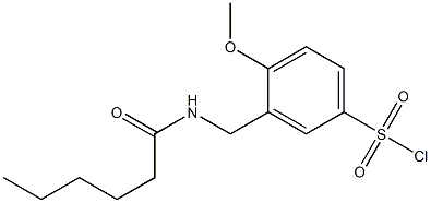 3-(hexanamidomethyl)-4-methoxybenzene-1-sulfonyl chloride Struktur