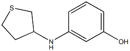 3-(thiolan-3-ylamino)phenol Struktur