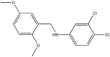 3,4-dichloro-N-[(2,5-dimethoxyphenyl)methyl]aniline Struktur