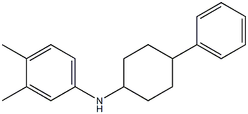 3,4-dimethyl-N-(4-phenylcyclohexyl)aniline Struktur