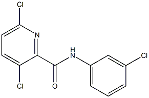 3,6-dichloro-N-(3-chlorophenyl)pyridine-2-carboxamide Struktur