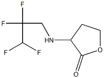 3-[(2,2,3,3-tetrafluoropropyl)amino]oxolan-2-one Struktur