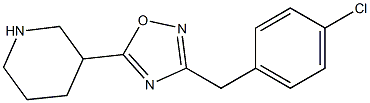 3-[(4-chlorophenyl)methyl]-5-(piperidin-3-yl)-1,2,4-oxadiazole Struktur