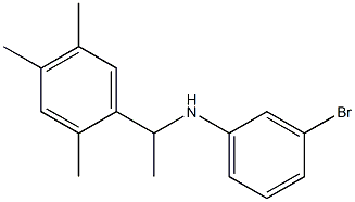 3-bromo-N-[1-(2,4,5-trimethylphenyl)ethyl]aniline Struktur