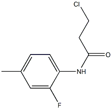 3-chloro-N-(2-fluoro-4-methylphenyl)propanamide Struktur