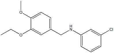 3-chloro-N-[(3-ethoxy-4-methoxyphenyl)methyl]aniline Struktur