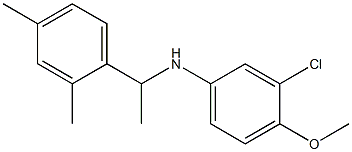 3-chloro-N-[1-(2,4-dimethylphenyl)ethyl]-4-methoxyaniline Struktur