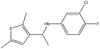 3-chloro-N-[1-(2,5-dimethylthiophen-3-yl)ethyl]-4-fluoroaniline Struktur