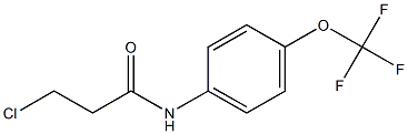 3-chloro-N-[4-(trifluoromethoxy)phenyl]propanamide Struktur