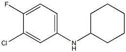 3-chloro-N-cyclohexyl-4-fluoroaniline Struktur