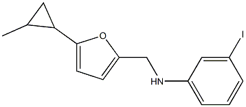 3-iodo-N-{[5-(2-methylcyclopropyl)furan-2-yl]methyl}aniline Struktur