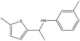 3-methyl-N-[1-(5-methylthiophen-2-yl)ethyl]aniline Struktur