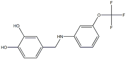 4-({[3-(trifluoromethoxy)phenyl]amino}methyl)benzene-1,2-diol Struktur