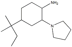 4-(2-methylbutan-2-yl)-2-(pyrrolidin-1-yl)cyclohexan-1-amine Struktur