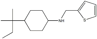 4-(2-methylbutan-2-yl)-N-(thiophen-2-ylmethyl)cyclohexan-1-amine Struktur