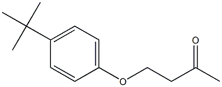 4-(4-tert-butylphenoxy)butan-2-one Struktur