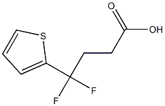 4,4-difluoro-4-(thiophen-2-yl)butanoic acid Struktur