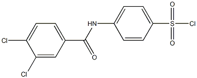 4-[(3,4-dichlorobenzene)amido]benzene-1-sulfonyl chloride Struktur