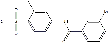 4-[(3-bromobenzene)amido]-2-methylbenzene-1-sulfonyl chloride Struktur