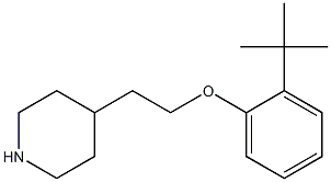 4-[2-(2-tert-butylphenoxy)ethyl]piperidine Struktur