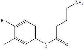 4-amino-N-(4-bromo-3-methylphenyl)butanamide Struktur