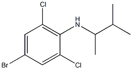 4-bromo-2,6-dichloro-N-(3-methylbutan-2-yl)aniline Struktur