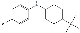 4-bromo-N-(4-tert-butylcyclohexyl)aniline Struktur