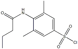 4-butanamido-3,5-dimethylbenzene-1-sulfonyl chloride Struktur