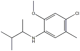 4-chloro-2-methoxy-5-methyl-N-(3-methylbutan-2-yl)aniline Struktur