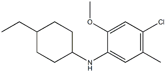 4-chloro-N-(4-ethylcyclohexyl)-2-methoxy-5-methylaniline Struktur