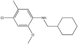 4-chloro-N-(cyclohexylmethyl)-2-methoxy-5-methylaniline Struktur