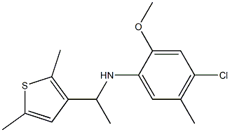 4-chloro-N-[1-(2,5-dimethylthiophen-3-yl)ethyl]-2-methoxy-5-methylaniline Struktur